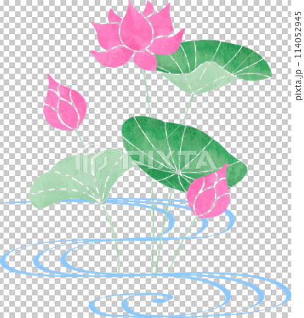 流水蓮花插畫 114052945