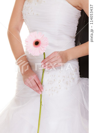 Wedding day. Pink flower gerbera in bride hand Wedding day. Pink flower gerbera in bride hand 114053437