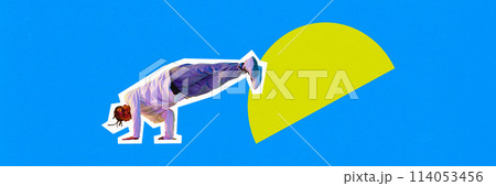 Banner. Contemporary art collage. Talented young man, breakdance, dancing against colorful background. Trendy magazine style. Banner. Contemporary art collage. Talented young man, breakdance, dancing against colorful background. Trendy magazine style. 114053456