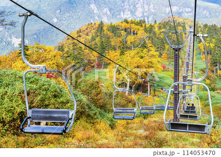 北海道 紅葉の黒岳 北海道 紅葉の黒岳 114053470