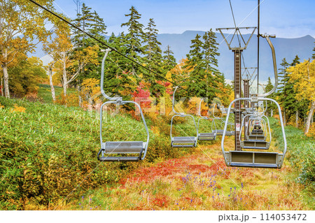 北海道 紅葉の黒岳 北海道 紅葉の黒岳 114053472