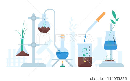 Organic chemistry concept. Lab glass tubes system and glassware with ground and greens. Plants genetic modification, research and growth, decent vector scene 114053826