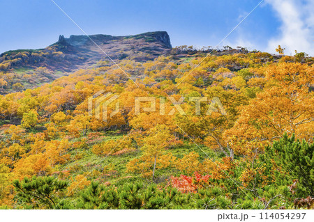 北海道 紅葉の黒岳 114054297