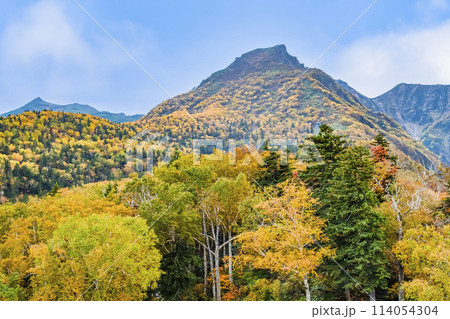 北海道 紅葉の黒岳 114054304