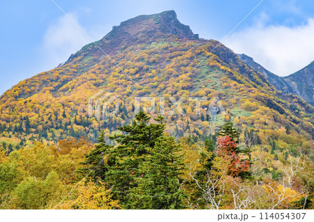北海道 紅葉の黒岳 114054307