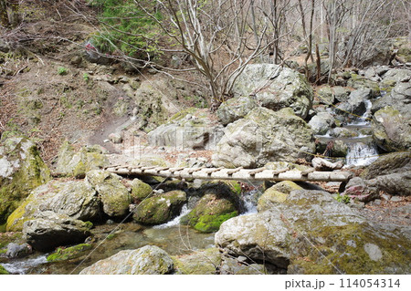 両神山への登山道で通った丸太の橋 114054314