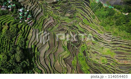 Batad Rice Terraces in Philippines 114054403