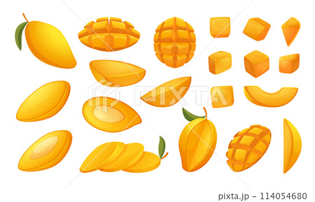Tropical mango. Sliced exotic juicy fruits exact vector mango collections pictures in cartoon style Tropical mango. Sliced exotic juicy fruits exact vector mango collections pictures in cartoon style 114054680