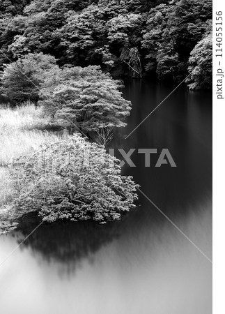 新緑の水辺(B&W) 114055156