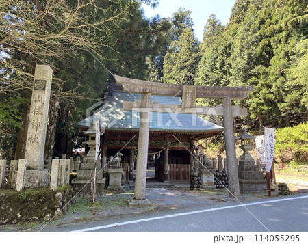 静岡県浜松市　山住神社の鳥居と参道 114055295
