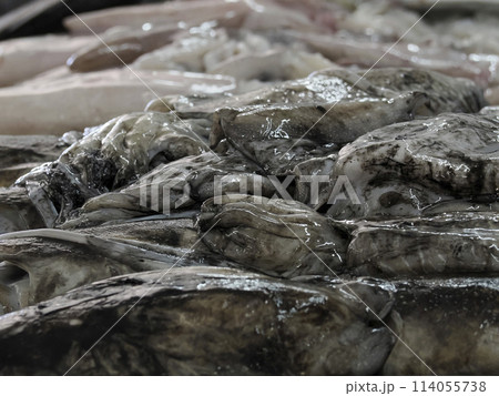 cuttlefish Fish Market fresh fish Aveiro Portugal 114055738