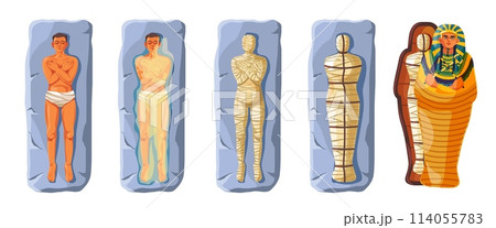 Mummification process. Painting egyptian ancient mummy in pharaoh sarcophagus, embalming bury dead ritual egypt religion, history death tutankhamun, recent vector illustration Mummification process. Painting egyptian ancient mummy in pharaoh sarcophagus, embalming bury dead ritual egypt religion, history death tutankhamun, recent vector illustration 114055783