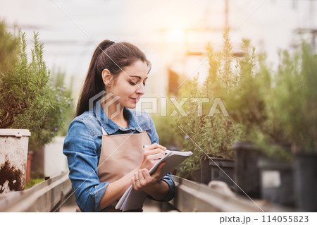 Small greenhouse business. Female gardener inspecting flowers and seedlings, standing in the middle of plants with clipboard, smelling them. 114055823