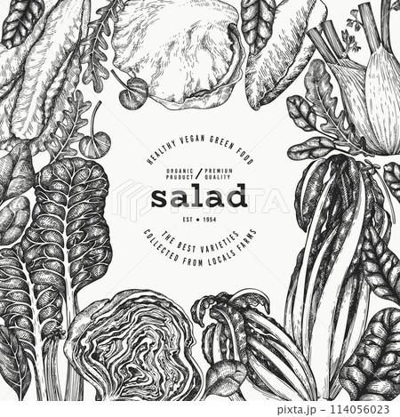 Green Vegetable Design Template. Vector Hand Drawn Healthy Leaf Salad Banner. Vintage Style Menu Illustration. Green Vegetable Design Template. Vector Hand Drawn Healthy Leaf Salad Banner. Vintage Style Menu Illustration. 114056023