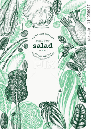 Green Vegetable Design Template. Vector Hand Drawn Healthy Leaf Salad Banner. Vintage Style Menu Illustration. Green Vegetable Design Template. Vector Hand Drawn Healthy Leaf Salad Banner. Vintage Style Menu Illustration. 114056027