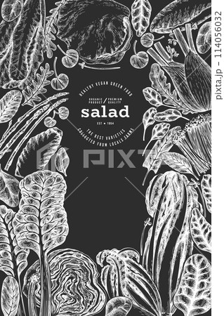 Green Vegetable Design Template. Vector Hand Drawn Healthy Leaf Salad Banner. Vintage Style Menu IllustrationOn Chalk Board. Green Vegetable Design Template. Vector Hand Drawn Healthy Leaf Salad Banner. Vintage Style Menu IllustrationOn Chalk Board. 114056032