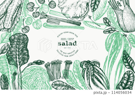 Green Vegetable Design Template. Vector Hand Drawn Healthy Leaf Salad Banner. Vintage Style Menu Illustration. Green Vegetable Design Template. Vector Hand Drawn Healthy Leaf Salad Banner. Vintage Style Menu Illustration. 114056034