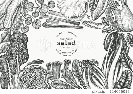 Green Vegetable Design Template. Vector Hand Drawn Healthy Leaf Salad Banner. Vintage Style Menu Illustration. Green Vegetable Design Template. Vector Hand Drawn Healthy Leaf Salad Banner. Vintage Style Menu Illustration. 114056035