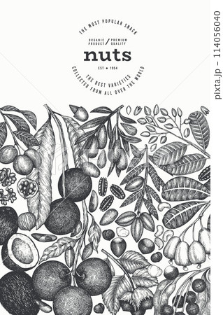 Hand Drawn Nuts Branch And Kernels  Template. Organic Seed Vector Design. Retro Nut Illustration. Engraved Style Botanical Banner. 114056040