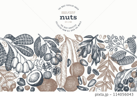 Hand Drawn Nuts Branch And Kernels  Template. Organic Seed Vector Design. Retro Nut Illustration. Engraved Style Botanical Banner. 114056043