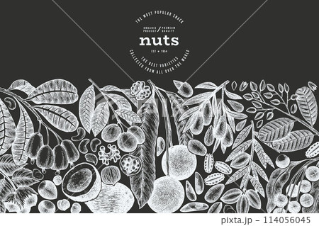 Hand Drawn Nuts Branch And Kernels Template. Organic Seed Vector Design. Retro Chalk Board Nut Illustration. Hand Drawn Nuts Branch And Kernels Template. Organic Seed Vector Design. Retro Chalk Board Nut Illustration. 114056045