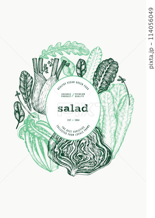 Green Vegetable Design Template. Vector Hand Drawn Healthy Leaf Salad Banner. Vintage Style Menu Illustration. Green Vegetable Design Template. Vector Hand Drawn Healthy Leaf Salad Banner. Vintage Style Menu Illustration. 114056049