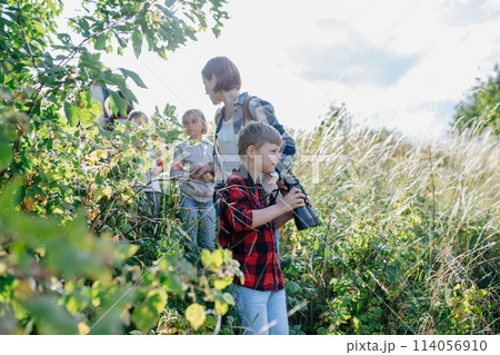 Young students learning about nature, forest ecosystem during biology field teaching class, School boy observing wildlife with bionoculars. Dedicated teachers during outdoor active education. Young students learning about nature, forest ecosystem during biology field teaching class, School boy observing wildlife with bionoculars. Dedicated teachers during outdoor active education. 114056910