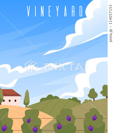 Vineyard view with text vector illustration 114057153