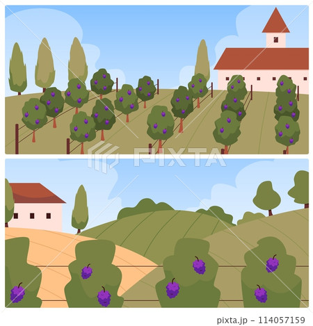 Vineyard landscapes and farmhouse vector set 114057159
