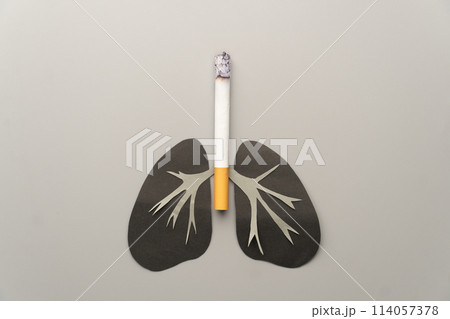 World no tobacco day concept. Unhealthy lung organ with cigarettes or tobacco on gray background. Lung diseases caused by smoking include COPD, asthma attack and lung cancer. 114057378