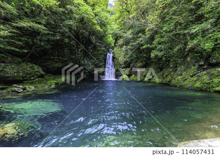 《高知県 仁淀ブルー》新緑のにこ淵と滝壺 《高知県 仁淀ブルー》新緑のにこ淵と滝壺 114057431