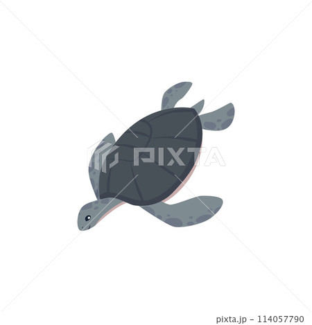 Cute sea turtle vector icon, cartoon grey tortoise character, ocean wild reptile animal swimming, exotic amphibian pet Cute sea turtle vector icon, cartoon grey tortoise character, ocean wild reptile animal swimming, exotic amphibian pet 114057790
