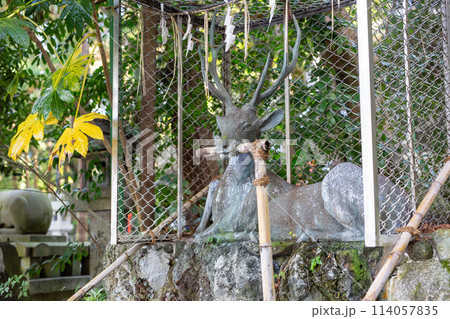 大阪の枚岡神社 114057835