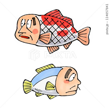 人面魚 2匹 人面魚 2匹 114057841