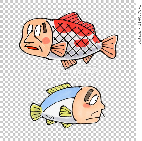 人面魚 2匹 人面魚 2匹 114057841