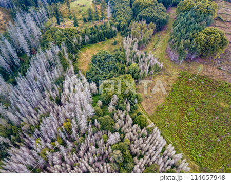 Aerial view of autumn countryside, traditional fall landscape in central Europe Aerial view of autumn countryside, traditional fall landscape in central Europe 114057948