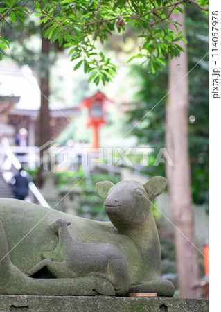 大阪の枚岡神社 114057978