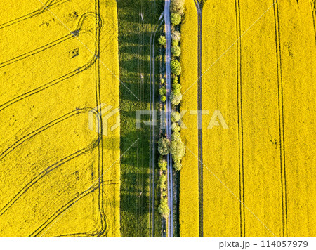 Top bird eye view of country road and yellow rapeseed field. Aerial view landscape. Czech Republic Top bird eye view of country road and yellow rapeseed field. Aerial view landscape. Czech Republic 114057979