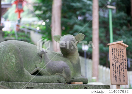 大阪の枚岡神社 114057982