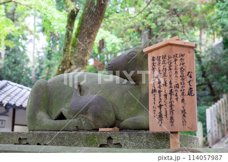 大阪の枚岡神社 大阪の枚岡神社 114057987