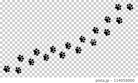 Black and white dog footprints cat footprints illustration | icon 114058000