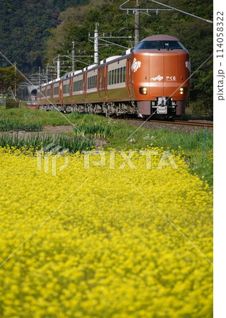 菜の花畑を行く新型特急やくも号 菜の花畑を行く新型特急やくも号 114058322