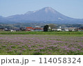 レンゲ畑と大山 114058324