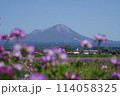 レンゲの花の向こうに見える大山 114058325