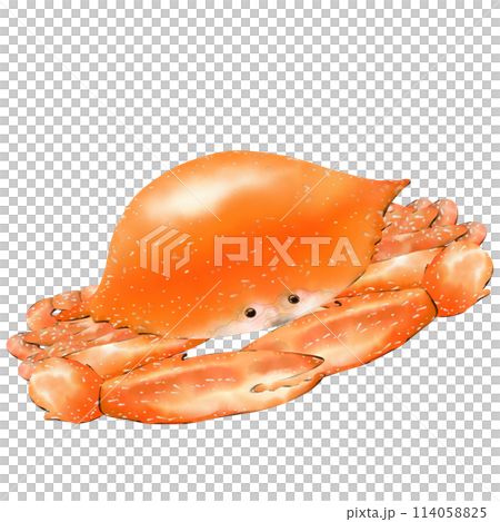 Grilled blue crab is a favorite menu of many people. Grilled blue crab is a favorite menu of many people. 114058825