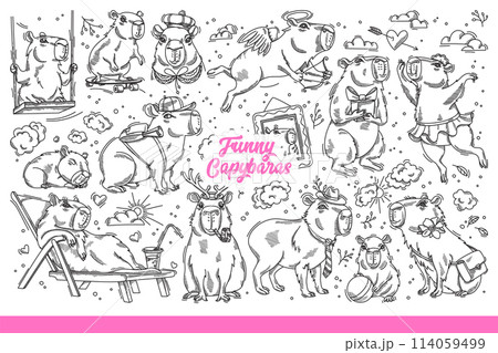Funny copybars living in swamps, relaxing or having fun in fresh air. Hand drawn doodle. 114059499