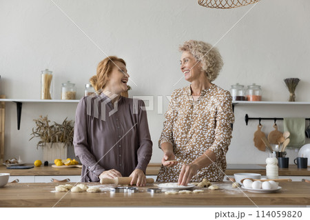 Woman and grownup daughter talking laughing while cooking in kitchen 114059820