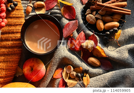 Autumn still life. The concept of home comfort. 114059905