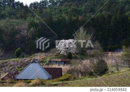 桜咲く山村3 (香川県仲多度郡まんのう町川東 葛籠野) 桜咲く山村3 (香川県仲多度郡まんのう町川東 葛籠野) 114059982