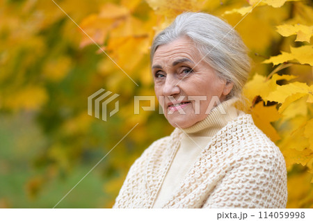 Senior nice woman walking in the park in autumn. Senior nice woman walking in the park in autumn. 114059998